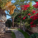 54886256025_e433c448eb_k