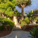 54929495110_1712ee941a_k