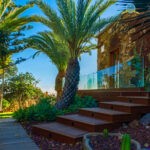 55010504856_d7bdfb9c61_k