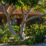 55010505111_5b1482ec5e_k