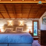 55011828311_b0644bb1e8_k