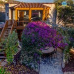 55013842601_dc1f4a2df7_k