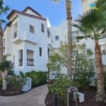 WhatsApp Image 2026-02-02 at 08.31.02