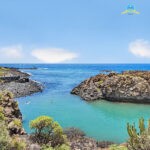 20260427 – 25 – Kalmer S – Amarilla Golf-20