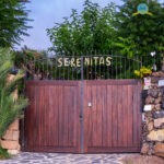 55010813340_6e4268dc38_k